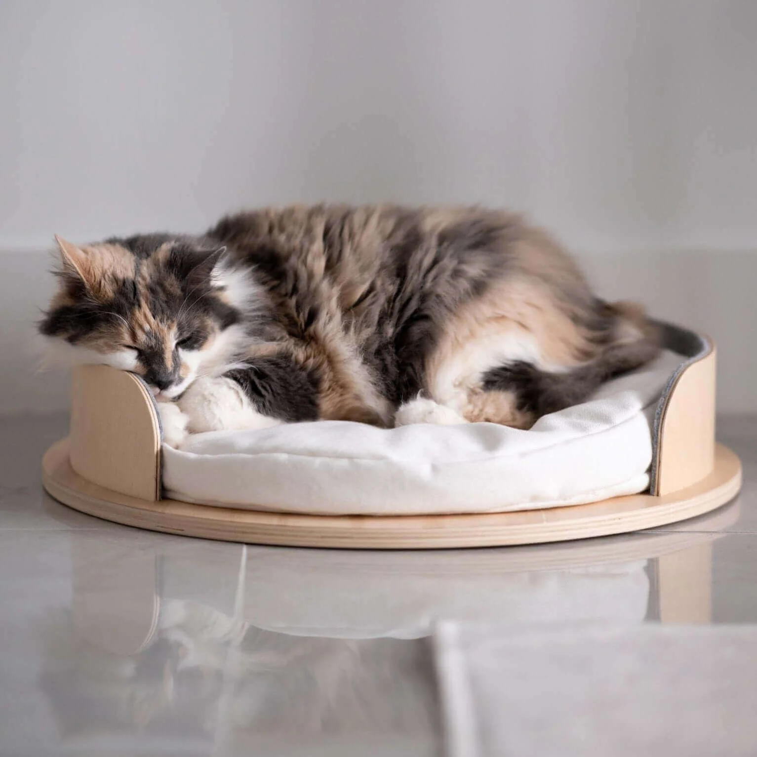 Cat beds